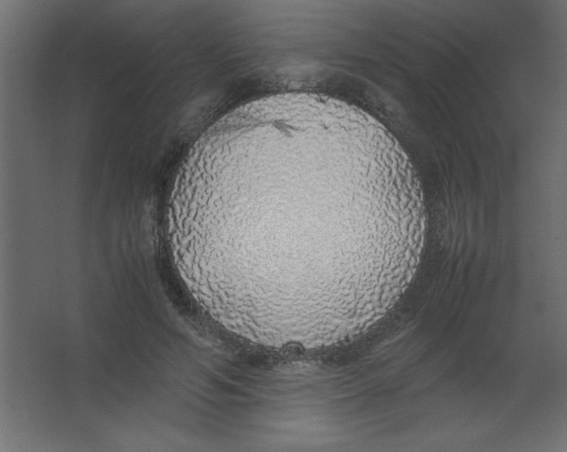 X0000067340594200604211938