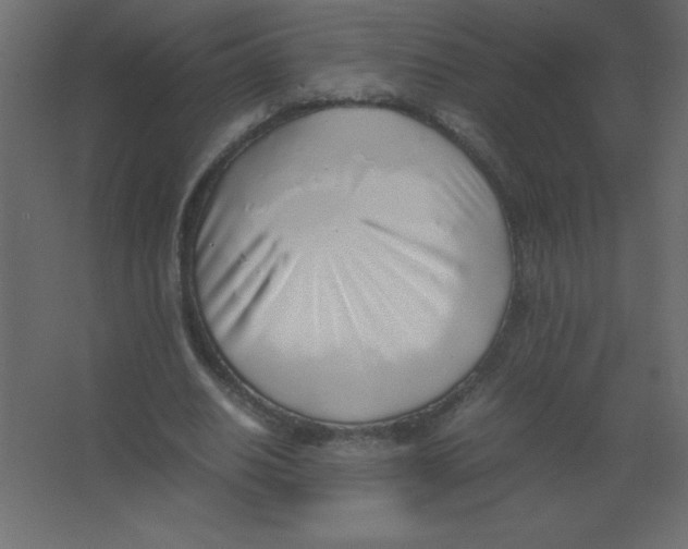 X0000067340630200604211936