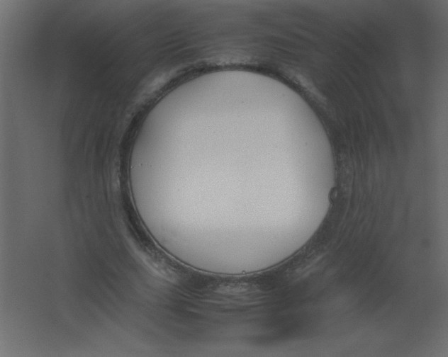 X0000067340631200604211936