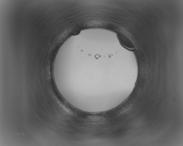 X0000067340633200604211936