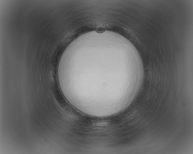 X0000067340643200604211937