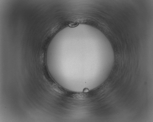 X0000067340652200604211937