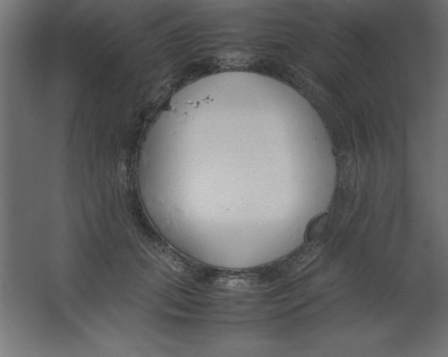 X0000067340655200604211937
