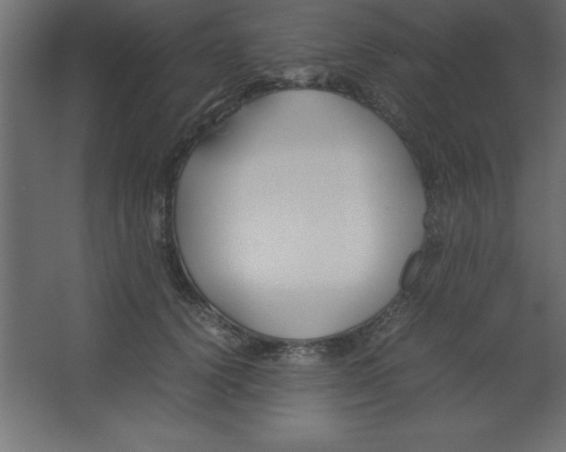 X0000067340656200604211937