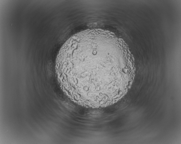 X0000067340659200604211937