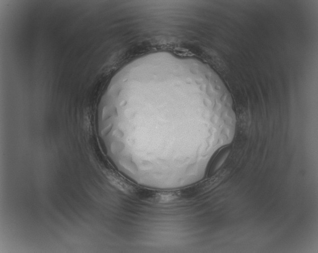 X0000067340662200604211937