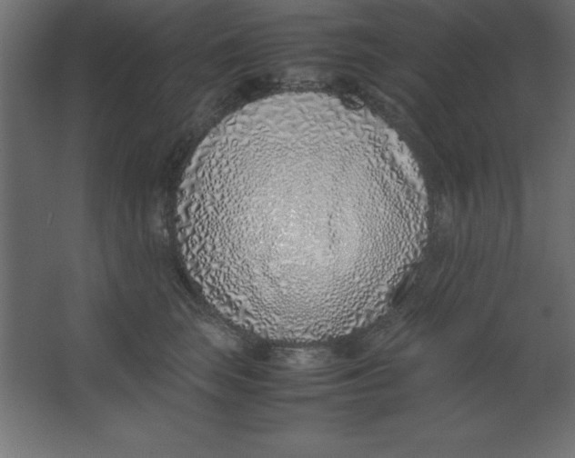 X0000067340663200604211937