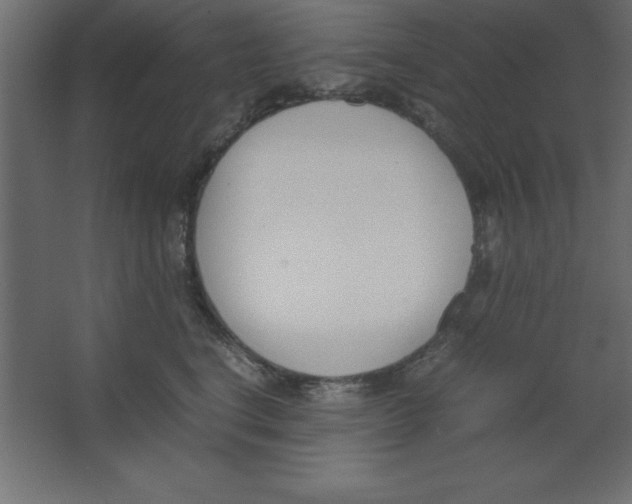 X0000067340664200604211937