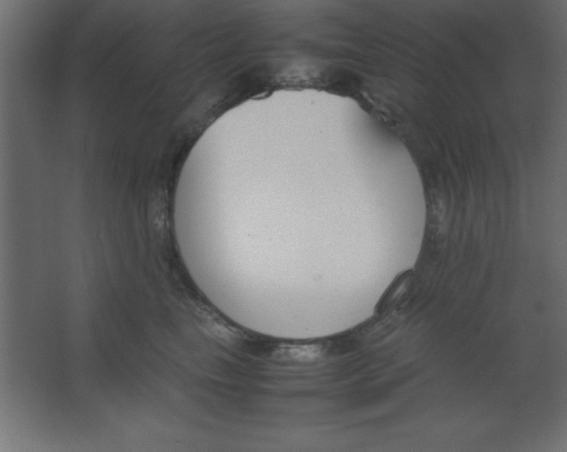 X0000067340665200604211937