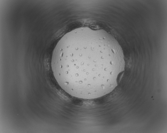 X0000067340666200604211937