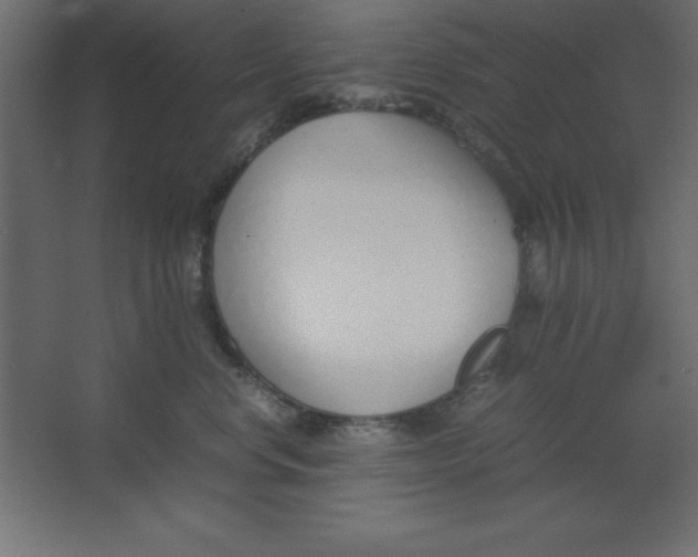 X0000067340668200604211937