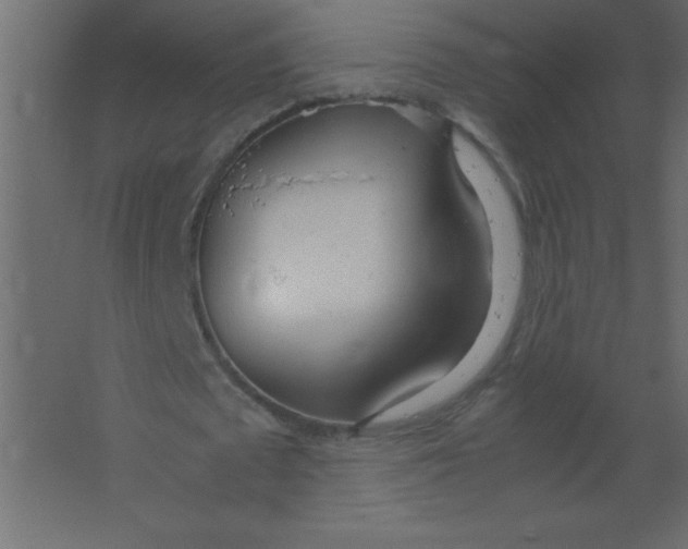 X0000067340673200604211936
