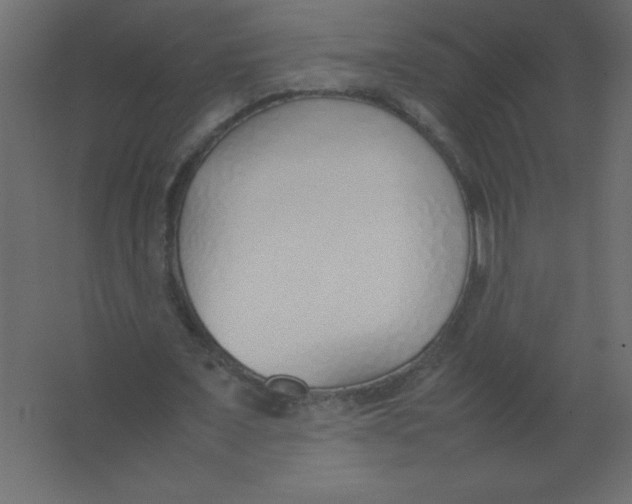 X0000067340675200604211936