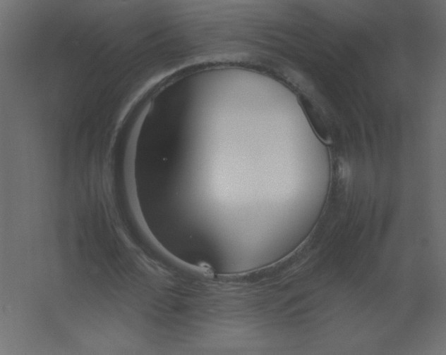 X0000067340676200604211936