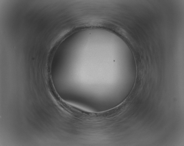 X0000067340677200604211936
