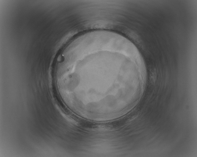 X0000067340678200604211936