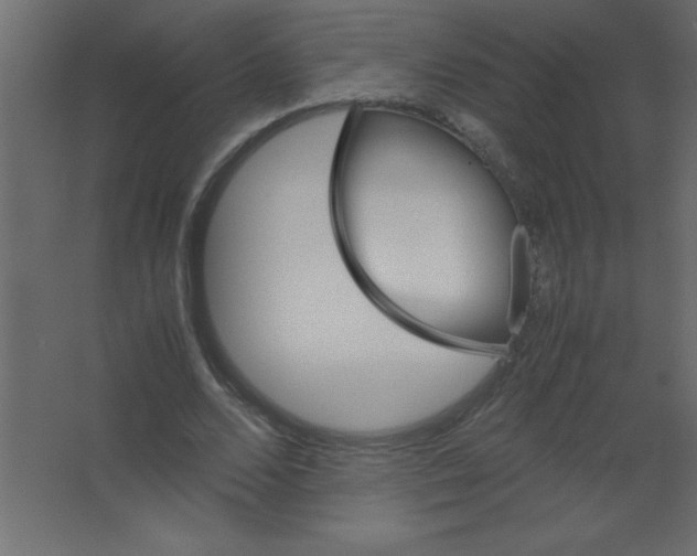 X0000067340680200604211936