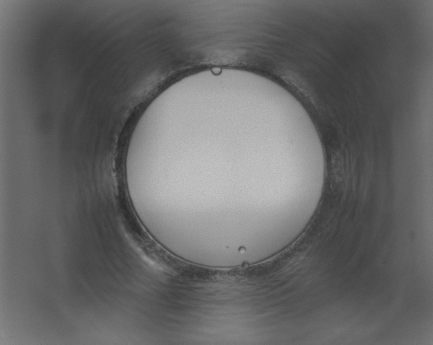 X0000067340682200604211936
