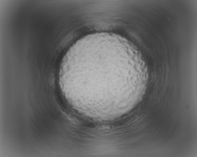 X0000067340687200604211936