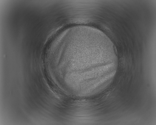 X0000067340688200604211936