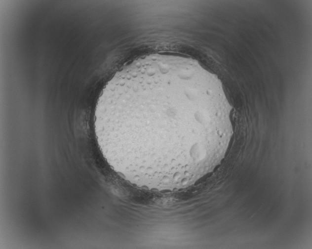 X0000067340695200604211936