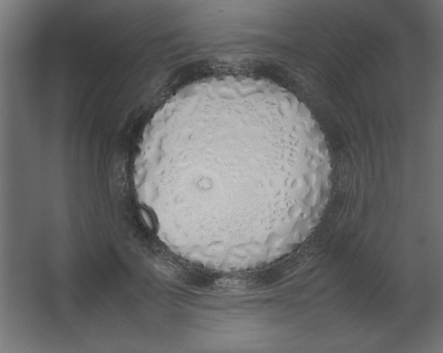 X0000067340699200604211936