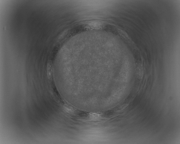 X0000067340701200604211936