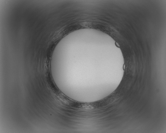 X0000067340702200604211936