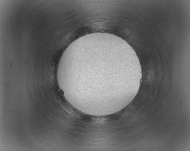 X0000067340710200604211936