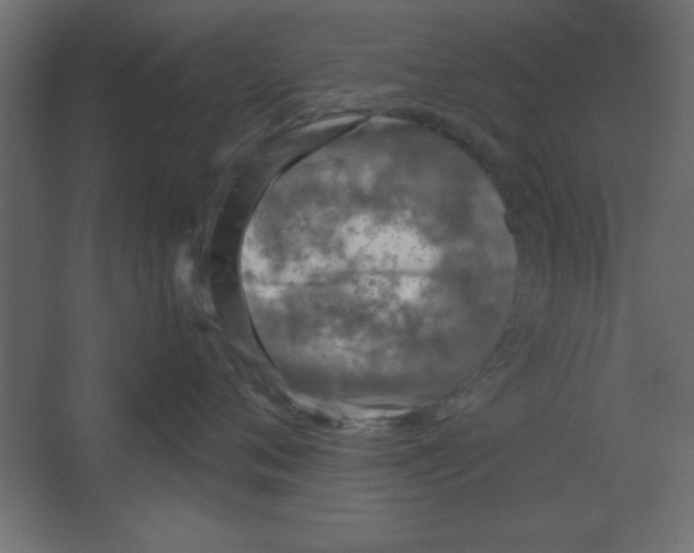 X0000067340720200604211935