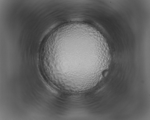 X0000067340725200604211935