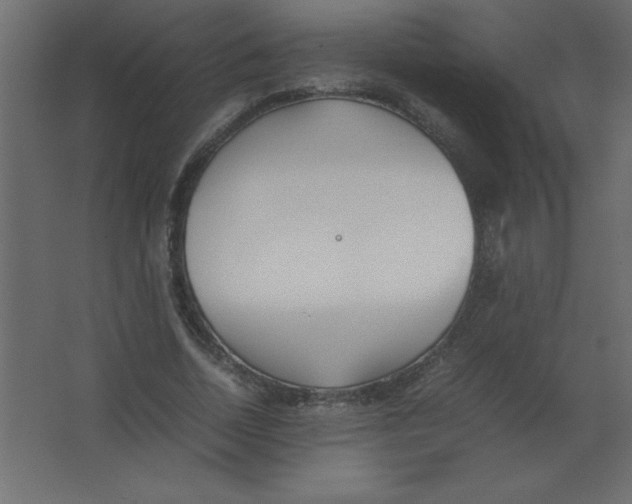 X0000067340730200604211935