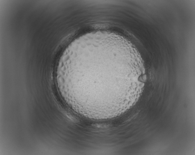 X0000067340733200604211935