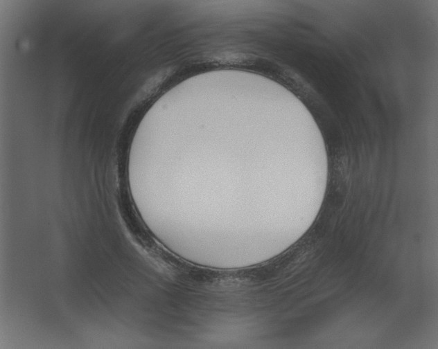X0000067340734200604211935