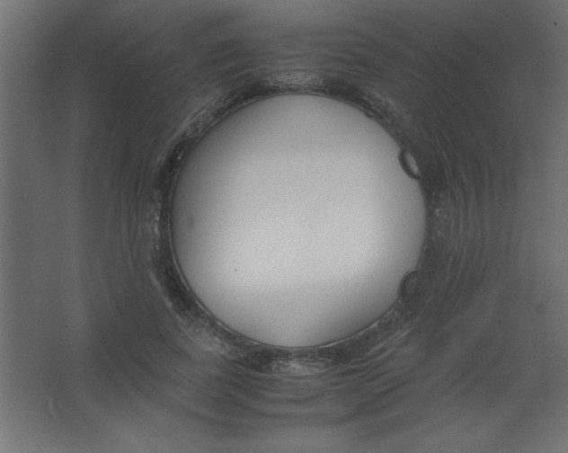 X0000067340739200604211935