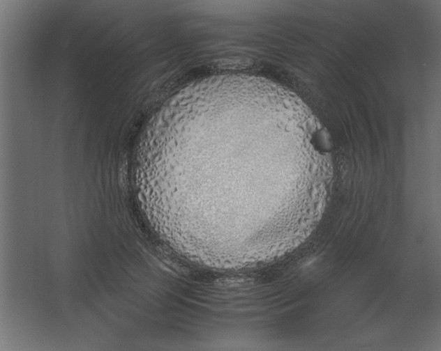 X0000067340745200604211935