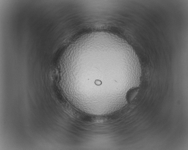 X0000067340746200604211935