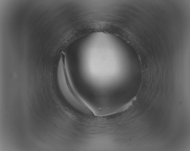 X0000067340750200604211935