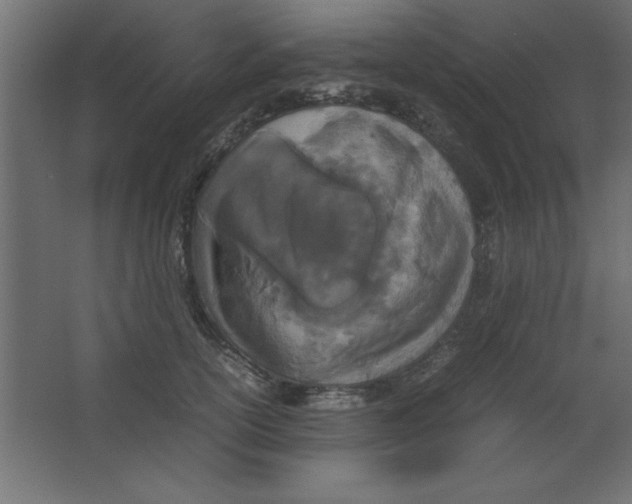 X0000067340754200604211935