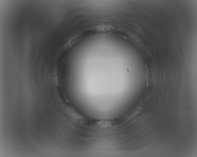 X0000067340762200604211935