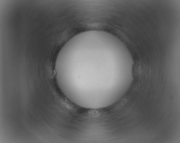 X0000067340764200604211935