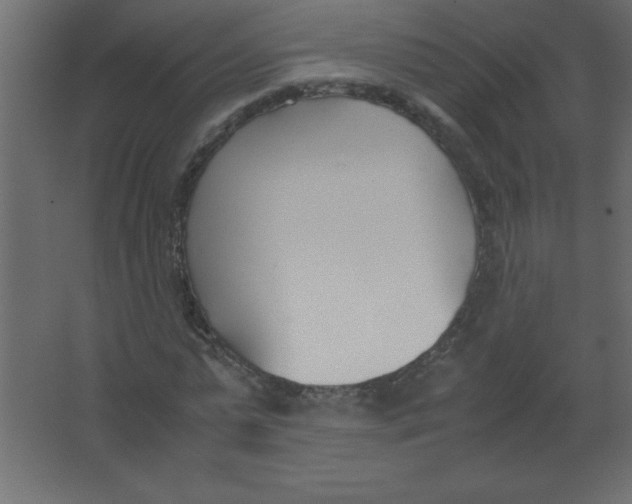 X0000067340775200604211934