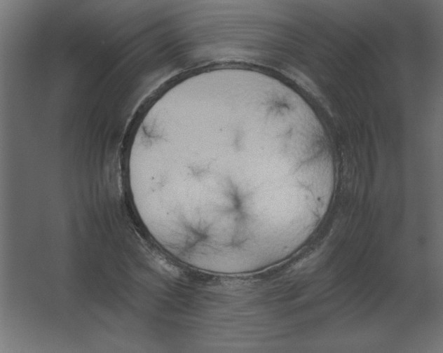 X0000067340782200604211934