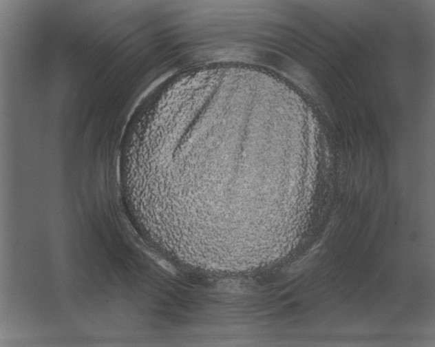 X0000067340790200604211934