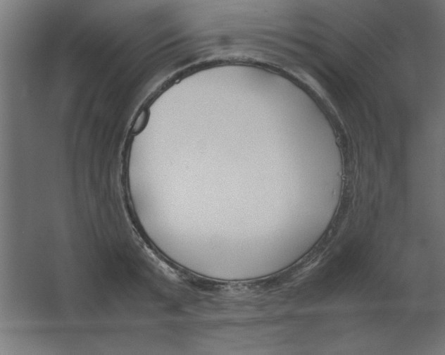 X0000067340799200604211934