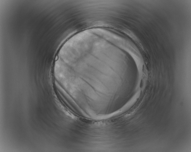 X0000067340806200604211934