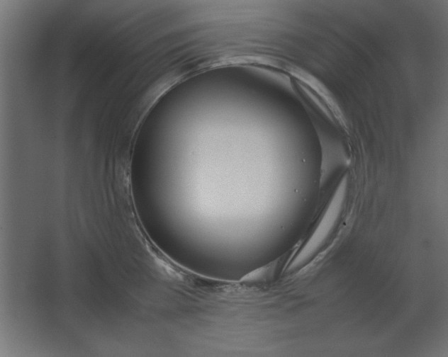 X0000067340809200604211934