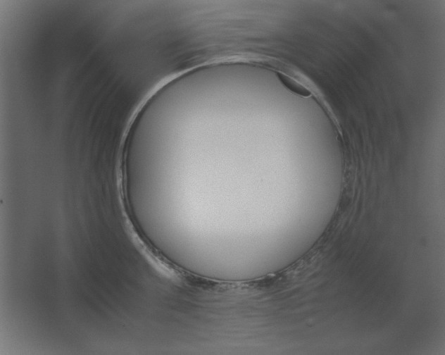 X0000067340811200604211934