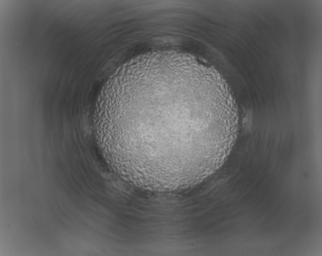 X0000067340819200604211933