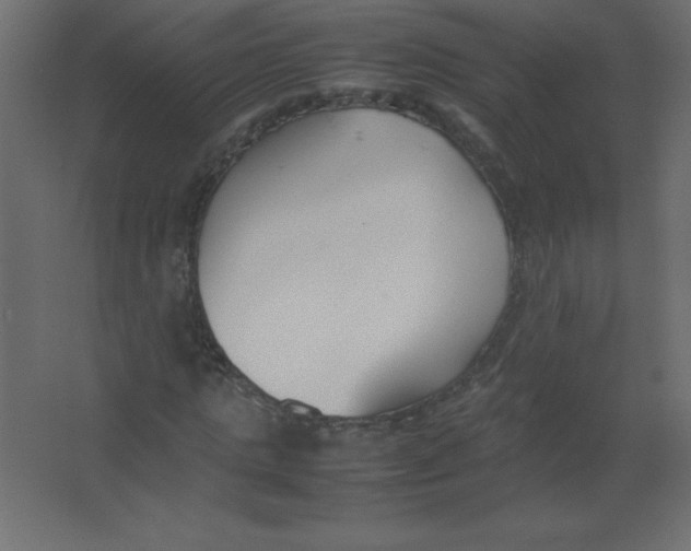 X0000067340821200604211933